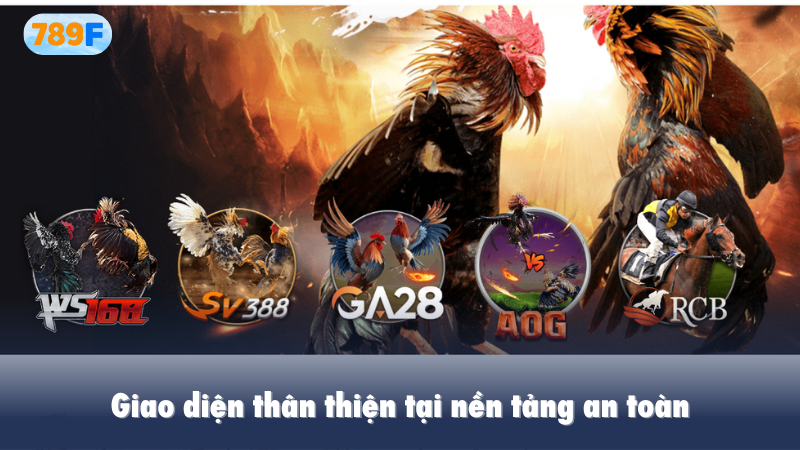 Giao diện thân thiện tại nền tảng an toàn